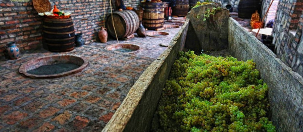 Cradle of wine - day tour to Kakheti